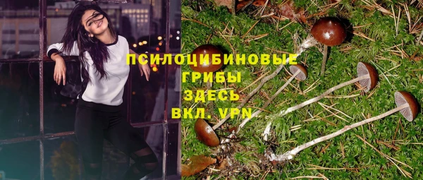 кокаин премиум Козловка